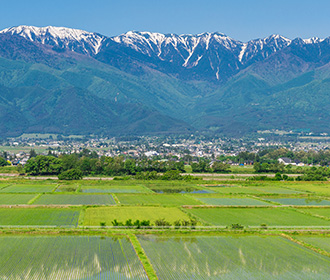 地域密着だからできる迅速対応